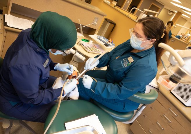 two dental students in a lab practicing
