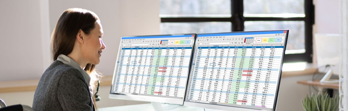 Woman in wheelchair with spreadsheets
