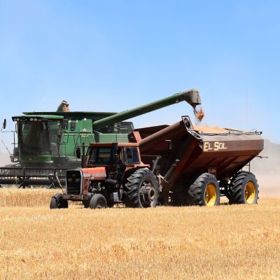 combine harvesting a field