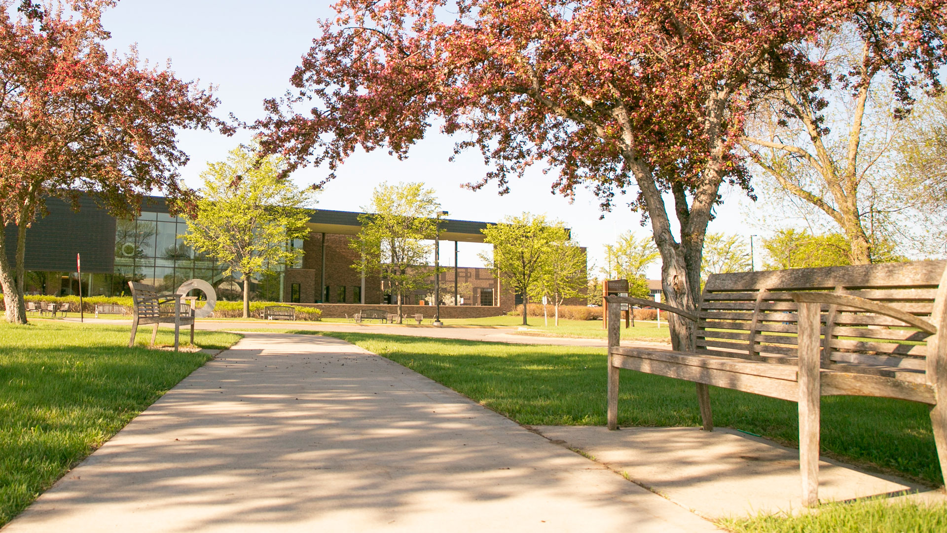 bench, trees with pink blossoms in front of SCTCC